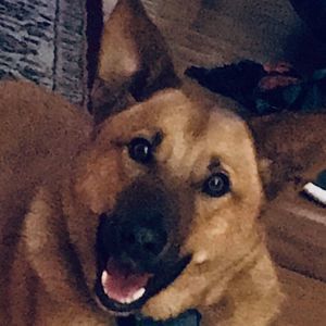 Meet your Posher, Ashton